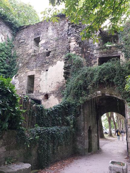 Le Moulin De Gueuzon Διαμέρισμα Rochefort-en-Terre Εξωτερικό φωτογραφία